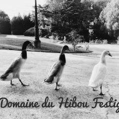 Le domaine du hibou Festigny