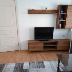 MIA 2 Family Apartment near City Center