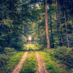 Landgasthof im Schwarzwald ideal für Wanderer & Biker