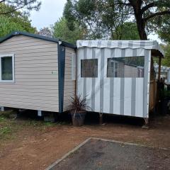 Mobil home 4-6 places St brėvin les pins 44