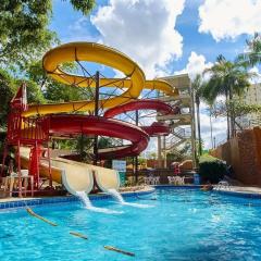 flat golden Dolphin Expless