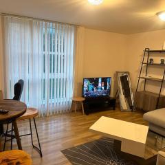 Specious apartment In Canning Town