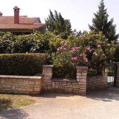 Apartment Slavica Vrvari