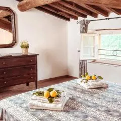 Alba - Villa Cenami - grande PISCINA con vista