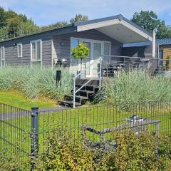 Ostseecamp Lübecker Bucht Seeigel