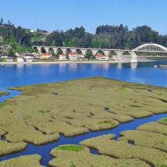 Chalet en Miño con vistas al mar