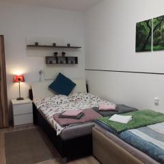 Apartment im Zentrum Steyr, 2 Betten BESTROOMS eU