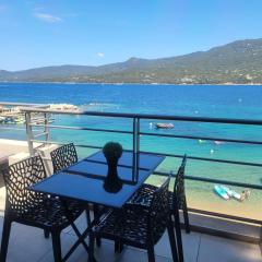 Appartement T2 terrasse vue mer à 180