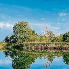 Casa Cal Sabater - En pleno centro, bonita vista al rio, gran parking público delante, A.A., wifi. - ES-89-89