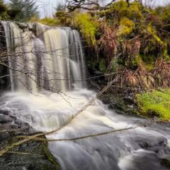 Glenariff Forest Getaway