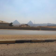 pyramids quite flat near new museum & hadayk ahram