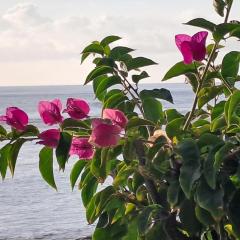 White Sunset - Votre appartement pieds dans l'eau