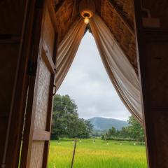 Paddy Fields Haven - Natures Nest