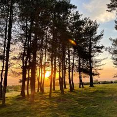 Cosy Cabins without hot tub - Greenway Farm, Drybrook, Forest of Dean