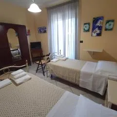 I Fiori di AminA Le Viole