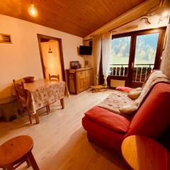 Appartement cosy 4 pers. avec balcon et vue à La Clusaz - FR-1-459-218