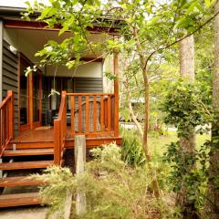 Mt Warning Rainforest Park