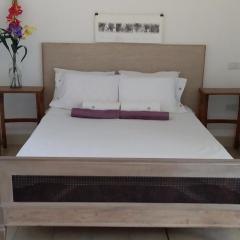 Loft, Bikes & Optic Fibre WIFI by Park and Top Bar Street