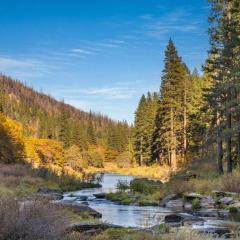 Escape to the Cabin, in Plumas National Forest
