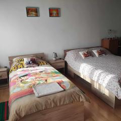 Apartman 1 RIBIČ