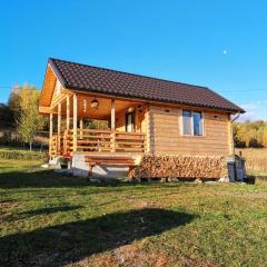 Tiny House Stefana with garden in Transylvania