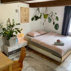 Cozy Room in an old Farmhouse near Vaduz