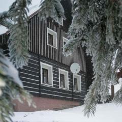 Holiday home in Jestrabi v Krkonosich 2207