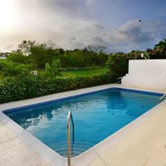 3 bedrooms luxurious pool house centrally located close to everything