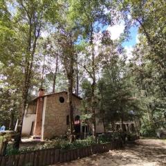 El Búho, Sauna, cabañas, camping