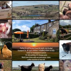 Stones Cottage Farm, nr Haworth, family friendly, work friendly, gaming barn, crafting, free wifi, free parking, EV point