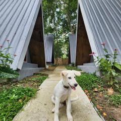 D'flora Bungalow & Glamping