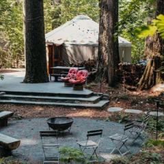 Your private Yurt in the woods - Nevada City