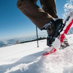 Apartment Adlerblick alpe maritima Ski & See - 22 by Interhome