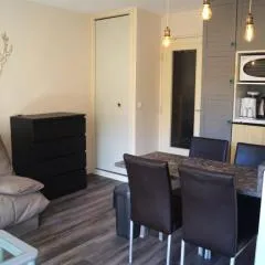 Studio Rénové avec Terrasse sur les Pistes - Super Sauze, Enchastrayes - FR-1-165A-22