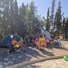 Camping Albox