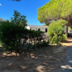 JP - L'Eleganzia 2 ch, clim réversible, Confort et Elégance,