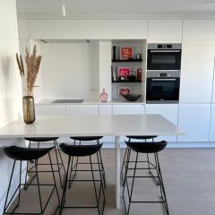 Beautiful Sunny Penthouse (near Place Albert)