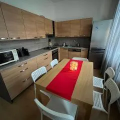 Apartmán Raisova 1180