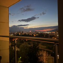 Skyline Retreat Apartment at Sky Towers with Spa and Fitness Access