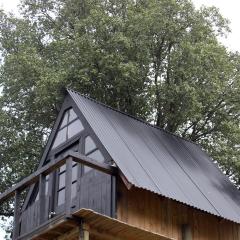 Cabaña en Arbol Quillay a 6Mts