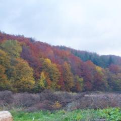K85 Komańcza Baza Noclegowa Wypadowa Bieszczady Beskid Niski