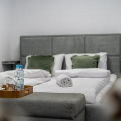 Malila Premium Apartments Cracow Centre Starowiślna 43