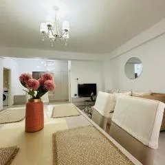 Comfortable apartment for you and your family