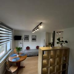 Murano Apartaments Promenada studio