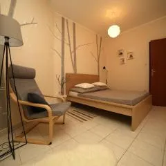 Dandelion Apartment - free parking