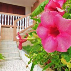 L'appartement SAPOTILLE