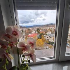 Panoramic Central Apartment