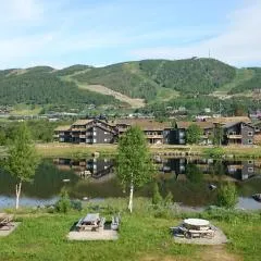 Solli Apartments - koselig leilighet med 3 soverom