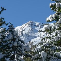 Big John at Alpine Meadows- Mountain Views, Cozy Fireplace, Shuttle to Slopes!