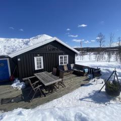 Beautiful Cabin close to Hemsedal